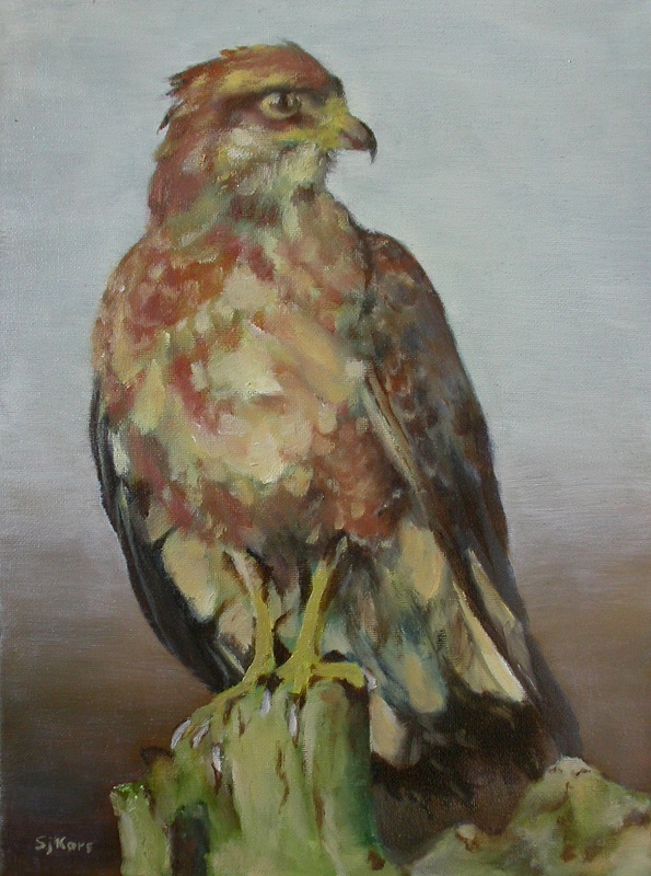 Sjoerdtje Kars - Buizerd